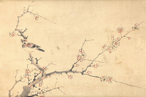 无款    花鸟