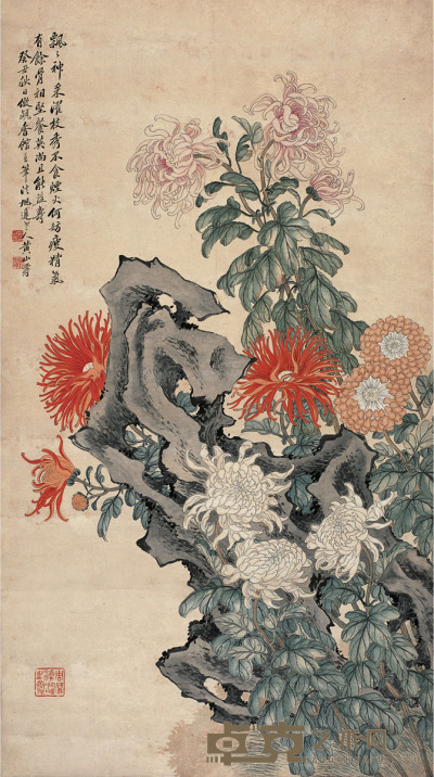 黄山寿  菊石图 143×80cm