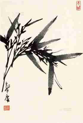 谢寿康 竹子