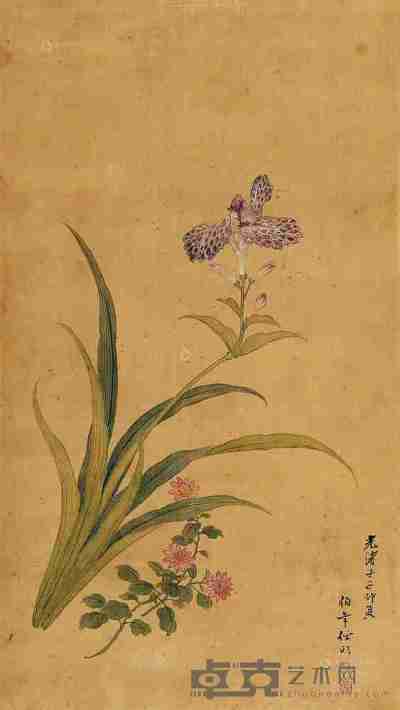 佚名 花卉图 立轴 71×40cm