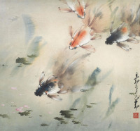 赵少昂 1951年作 金鱼 镜框