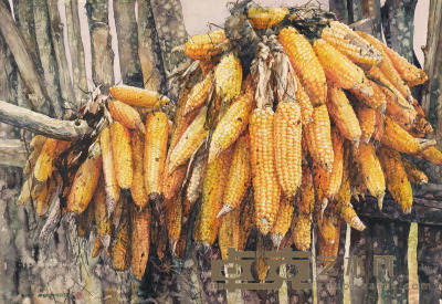 曲哲 1999年作 秋天的玉米 78×107cm