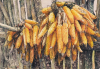曲哲 1999年作 秋天的玉米