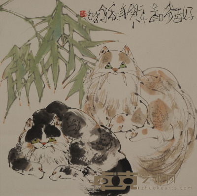 谭昌镕 猫 48×48约2.1平尺