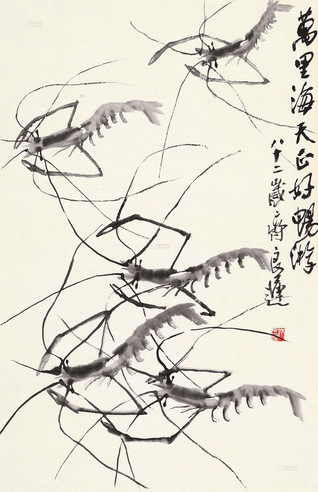 齐良迟 虾 托片