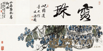 朱屺瞻 辛酉（1981）年作 珠露 手卷 书21×68cm；画21×136.5cm