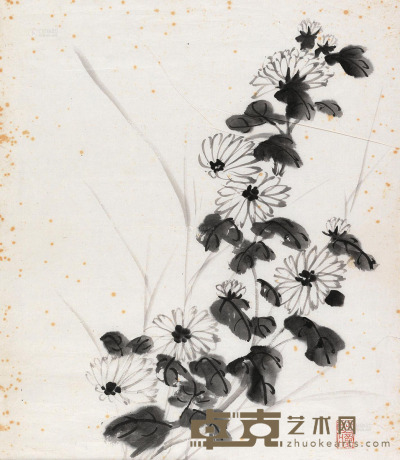 台静农 菊花 镜片 39×34.5cm