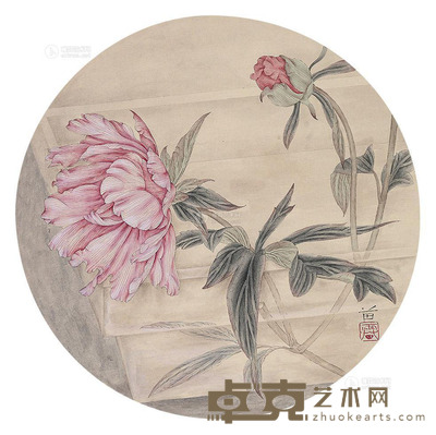 雷苗 花卉 直径32cm