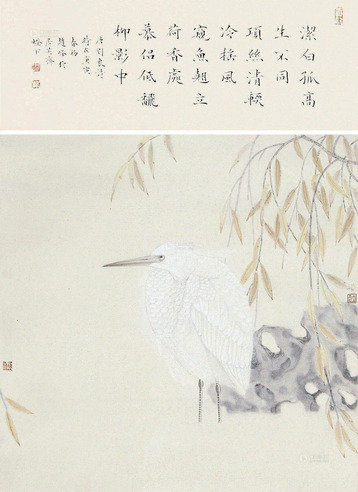 杨立奇     花鸟