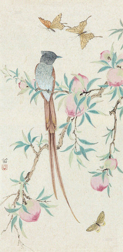雷苗 寿桃