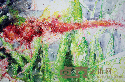 赵瑞鸣     2014年作 蜻蜓2 布面油画 60×90cm