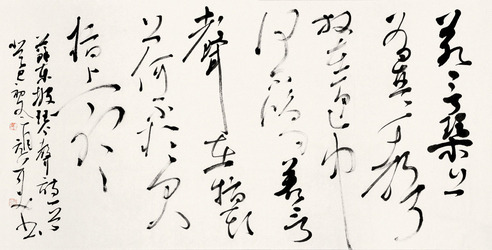 胡抗美 苏东坡诗