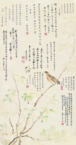 花鸟