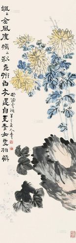 陈年     菊石图