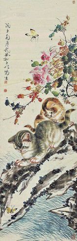 孙子明 猫