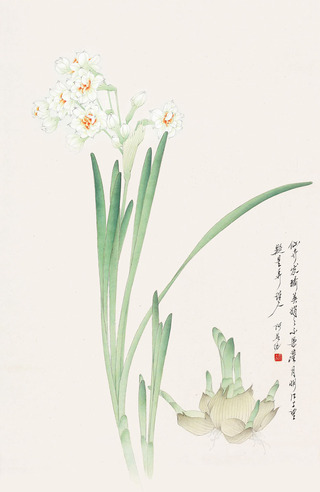 李长白 水仙