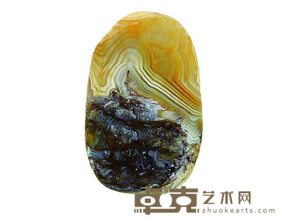 仙子 6.4×4.1cm