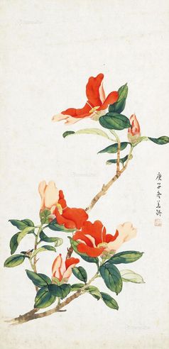 宋美龄 茶花