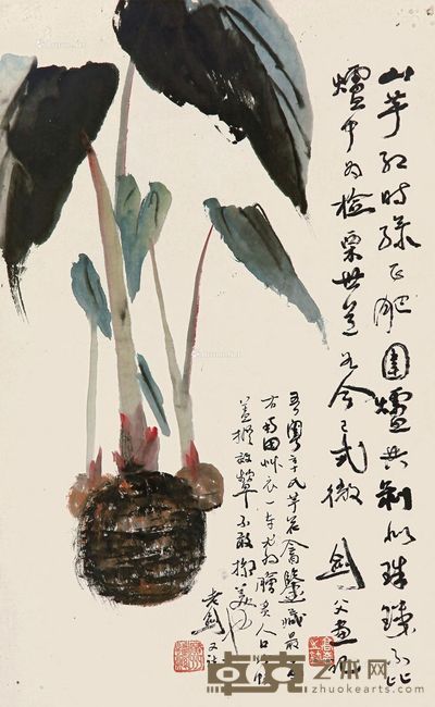高剑父 山芋 66×41cm