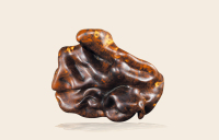 麻利疙瘩随形雕蛇摆件 大师作品