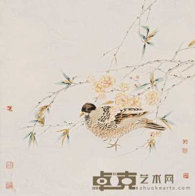 花鸟 纸片 设色纸本 68×68cm