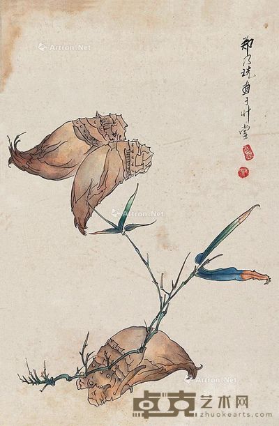 郑乃珖 竹笋图 40×26cm
