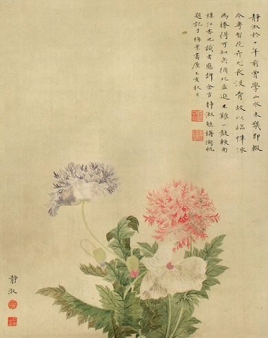 潘静淑     花卉