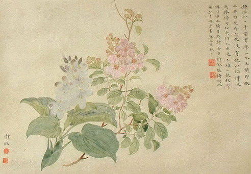 潘静淑     花卉