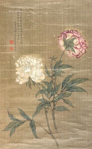 沈铨     芍药