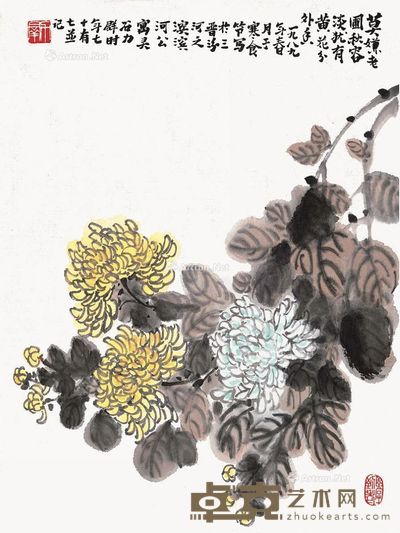 力群 菊花 55×41.5cm