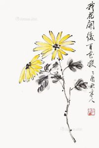 赵亭人 花卉 我花开后白花杀