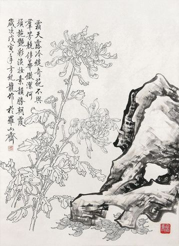 方纪龙 白描山花