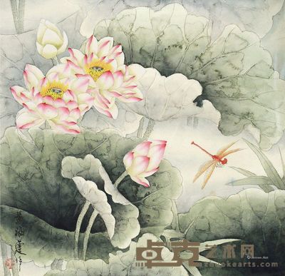 莲花 49.5×50.5cm