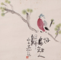 陈寿岳   鸟