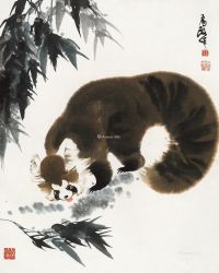 王为政 小熊猫