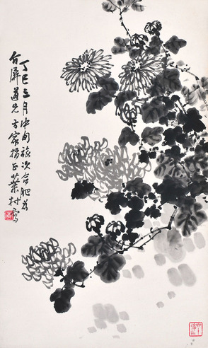 黄叶村  菊花