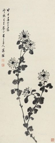 汤涤 墨菊