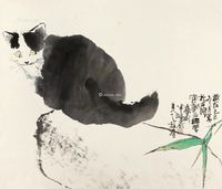 秦天柱 猫