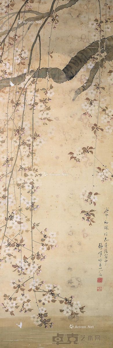 木下静涯 樱花 126×40cm