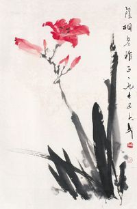 王子武 花卉