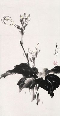 王子武 花卉