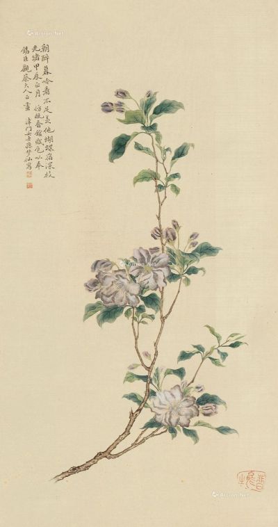 孙梦仙 1904年作 花卉