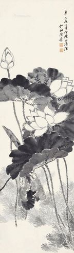 陈豪 荷花