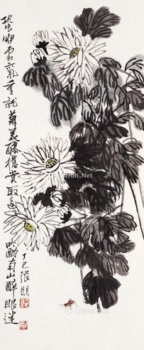 张朋     花鸟