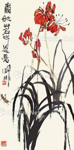 张朋 忘忧草