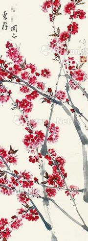 张朋 桃花