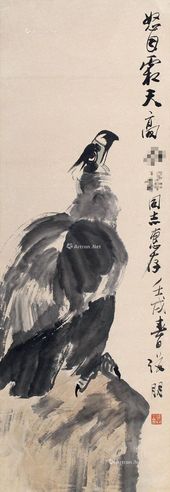 张朋 雄鹰