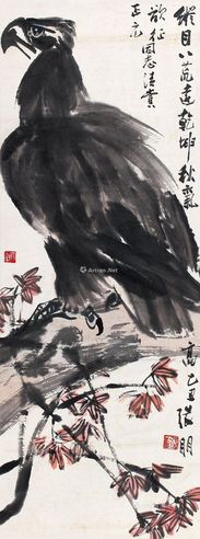 张朋 鹰