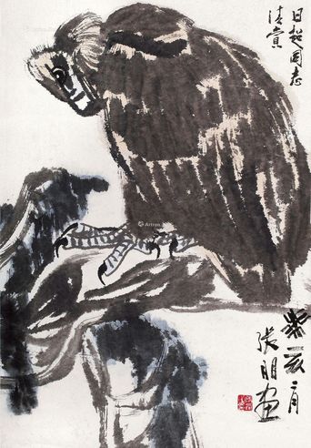 张朋 鹰