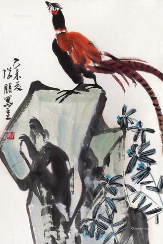 张朋 锦鸡